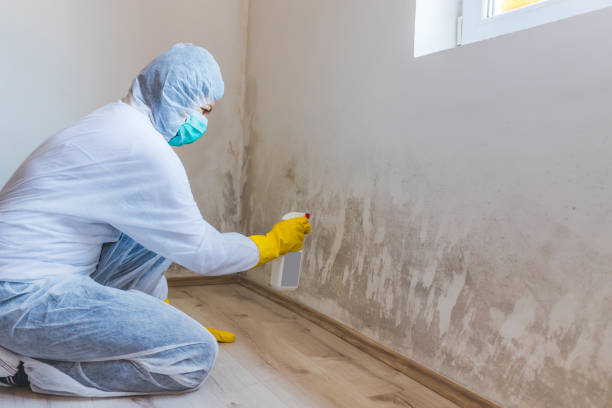 Hvac And Air Duct Mold Remediation inspection of HVAC system in Richland