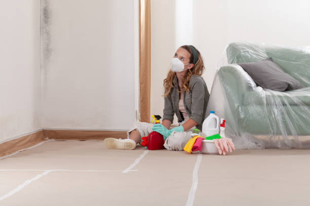 Mold Remediation service in Richland, Richland, MI
